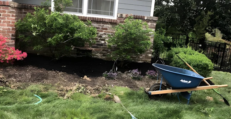 Landscaping-and-SOD-Installation-in-Knoxville-TN